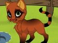 Joc El meu gatet  en línia