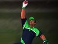 Joc Repte de Cricket Fielder en línia