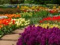 Joc Jardí de flors 2  en línia