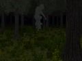Joc Bosc atrapat  en línia