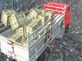 Joc Cotxe de camions fora de camió  en línia