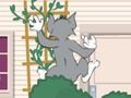 Joc Tom und Jerry: Wasserbomben Wahnsinn en línia