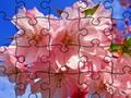 Joc Trencaclosques: Flors  en línia