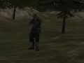 Joc Agència FPS: Bosc  en línia