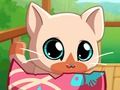 Joc El meu gat de mascotes de butxaca Kitty en línia