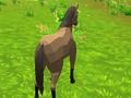 Joc Simulador de cavalls 3D  en línia
