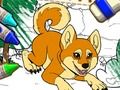 Joc Color Em Pets 2  en línia