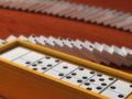 Joc Domino multijugador  en línia