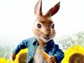 Joc Peter Rabbit: Problemes al laberint  en línia
