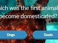 Joc Trivia animal en línia