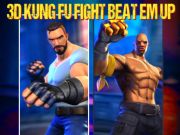 Joc 3d kung fu lluita en línia