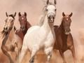 Joc Trencaclosques de Cavalls  en línia