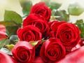 Joc Roses Vermelles  en línia