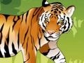 Joc Dibuixos per Angry Tiger  en línia