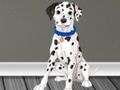 Joc Veterinari Doctor Escape 2  en línia