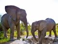 Joc Trencaclosques d’elefants  en línia