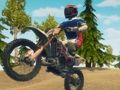 Joc Bike Dirt Bike Enduro Racing  en línia