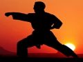 Joc Guerrers de la posta de sol de Karate  en línia