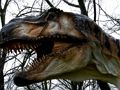 Joc Trencaclosques de dinosaures T-Rex  en línia