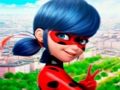 Joc Col·lecció de trencaclosques LadyBug  en línia