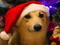 Joc Gossos de Nadal divertits  en línia