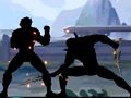 Joc Combat de lluita d’ombres en línia