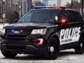 Joc Trencaclosques de cotxes de policia  en línia