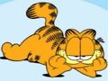 Joc Col·lecció de puzles Garfield  en línia