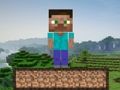 Joc Minecraft Survival  en línia