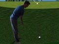 Joc Flash Golf 3D  en línia