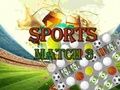 Joc Partit esportiu 3 Deluxe en línia