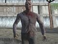 Joc FBS FOREST FORD FBS FPS FPS en línia