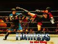 Joc Lluitadors al ring  en línia