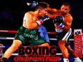 Joc Lluita de campions de boxa  en línia