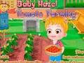 Joc Baby Hazel. Cultiu de tomàquet  en línia