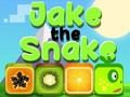 Joc Jake la serp  en línia