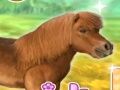 Joc El meu estimat poni en lĂnia Joc El meu estimat poni en lĂnia