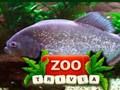 Joc Curiositats del ZOO  en línia