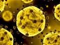 Joc Diapositiva Coronavirus  en línia