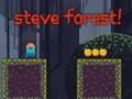 Joc Steve Forest en línia