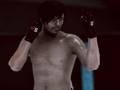 Joc MFS: lluitador de MMA  en línia