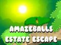 Joc Amazeballs Escape Escape en línia