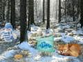 Joc Aventura forestal de les meravelles d'hivern en línia