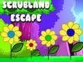 Joc Escape Scrubland en línia