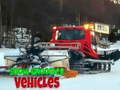 Joc Vehicles de neteja de neu  en línia