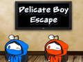 Joc Delicada Boy Escape  en línia
