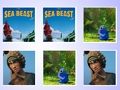 Joc La partida de la targeta de memòria Sea Beast  en línia