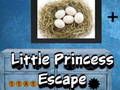 Joc La petita princesa escapada  en línia