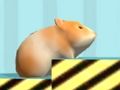 Joc Hamster Per confirmar  en línia