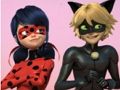 Joc Trencaclosques Miraculous Ladybug i Cat Noir  en línia